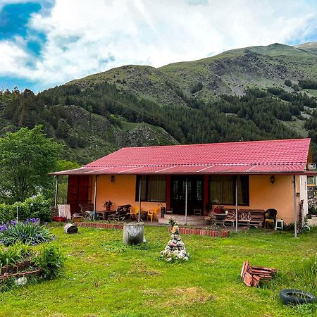 Januka Garden At Sno Villa Казбеги Екстериор снимка